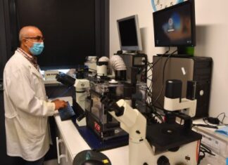 Le scientifique marocain Ahmed Hamraoui innove dans la réparation nerveuse