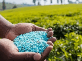 Engrais : OCP Nutricrops certifiée pour la faible teneur en cadmium