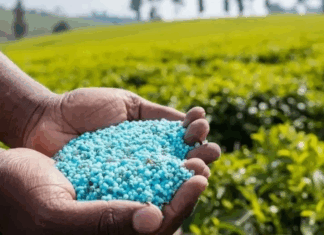 Engrais : OCP Nutricrops certifiée pour la faible teneur en cadmium Engrais : OCP Nutricrops certifiée pour la faible teneur en cadmium