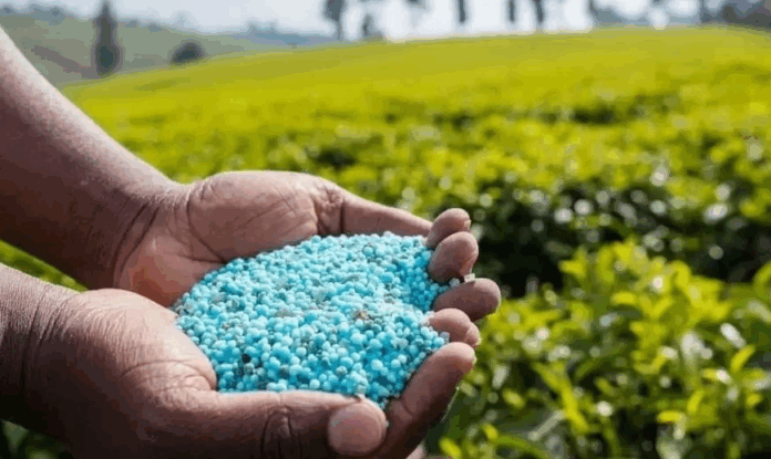 Engrais : OCP Nutricrops certifiée pour la faible teneur en cadmium