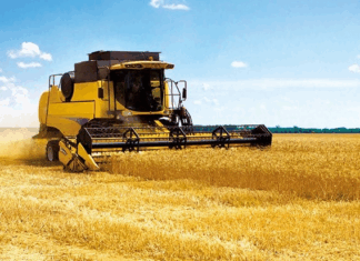 Mass Céréales accueille STOA et Africa50 au capital Mass Céréales accueille STOA et Africa50 au capital