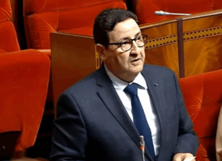 Retour des MRE : 13 lignes maritimes, 59 compagnies aériennes Retour des MRE : 13 lignes maritimes, 59 compagnies aériennes