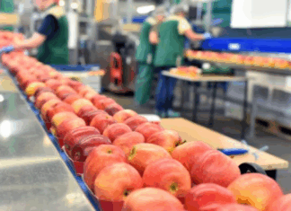 Chaînes agroalimentaires : le savoir-faire marocain salué à l’ONU