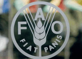 Maroc réélu au Conseil de la FAO pour 2026-2029