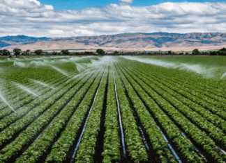 Le Maroc renforce la sécurité hydrique agricole