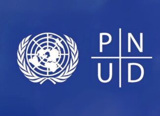 Le PNUD accompagne les PME vertes vers une économie durable