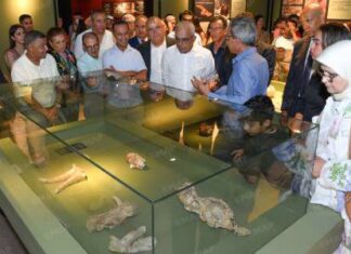 Casablanca remonte le temps au parc de Sidi Abderrahmane Casablanca remonte le temps au parc de Sidi Abderrahmane
