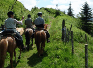 Le tourisme équestre à l’honneur lors d’un salon à Ifrane