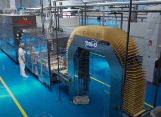 Kidzo, Jelly, Deriko… Zine Capital muscle son offre estivale Kidzo, Jelly, Deriko... Zine Capital muscle son offre estivale