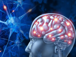 Alzheimer : des chercheurs testent une lumière LED aux effets prometteurs
