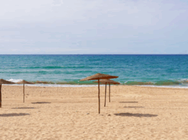Dar Bouazza retrouve des plages propres et sécurisées