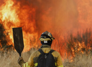Incendies : l’Espagne voit les premiers signes d’accalmie Incendies : l’Espagne voit les premiers signes d’accalmie