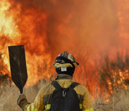 Espagne : plus de 37.000 hectares déjà ravagés par les incendies Espagne : plus de 37.000 hectares déjà ravagés par les incendies