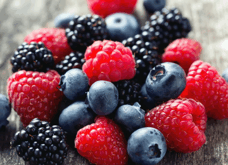 Exportations de fruits rouges : le Maroc écrase la concurrence et vise plus haut Exportations de fruits rouges : le Maroc écrase la concurrence et vise plus haut