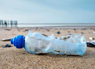 La planète cherche un compromis face à la pollution plastique La planète cherche un compromis face à la pollution plastique