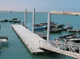 Tarfaya : bond de 161 % des débarquements de pêche au S1 2025