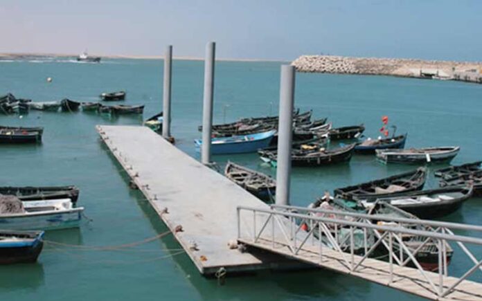 Tarfaya : bond de 161 % des débarquements de pêche au S1 2025