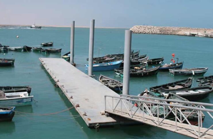 Tarfaya : bond de 161 % des débarquements de pêche au S1 2025