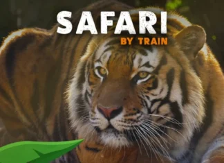 Jardin Zoologique de Rabat : entrée à -40 % avec ONCF Jardin Zoologique de Rabat : entrée à -40 % avec ONCF