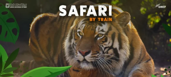 Jardin Zoologique de Rabat : entrée à -40 % avec ONCF