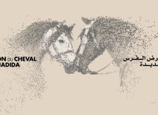Pur-Sang Arabes : El Jadida entre dans le cercle fermé des Title Shows Pur-Sang Arabes : El Jadida entre dans le cercle fermé des Title Shows