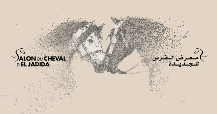 Pur-Sang Arabes : El Jadida entre dans le cercle fermé des Title Shows