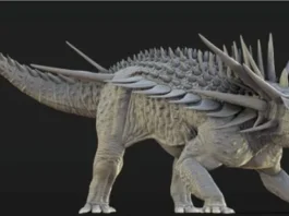 Spicomellus, un dinosaure cuirassé unique découvert au Maroc