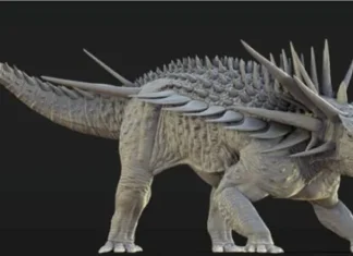 Spicomellus, un dinosaure cuirassé unique découvert au Maroc Spicomellus, un dinosaure cuirassé unique découvert au Maroc