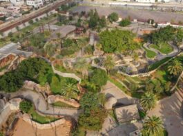 Le zoo de Aïn Sebaâ fait peau neuve et accueille à nouveau le public