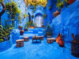 Huit villes, mille histoires : Travel Turtle célèbre le Maroc