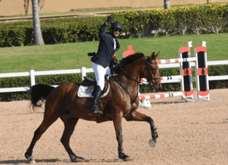 Saut d’obstacles : Abdeslam Bennani Smires ouvre le Morocco Royal Tour en beauté Saut d’obstacles : Abdeslam Bennani Smires ouvre le Morocco Royal Tour en beauté
