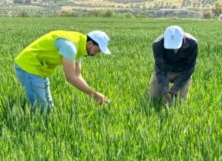 Al Moutmir booste les rendements malgré la sécheresse Al Moutmir booste les rendements malgré la sécheresse