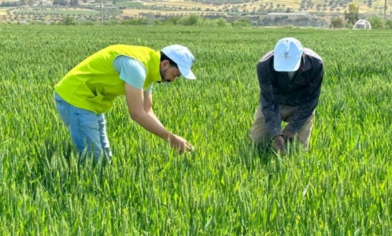 Al Moutmir Al Moutmir booste les rendements malgré la sécheresse