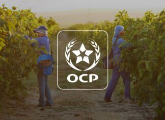 D’ici fin 2025, OCP aura investi 53 milliards de dirhams D’ici fin 2025, OCP aura investi 53 milliards de dirhams