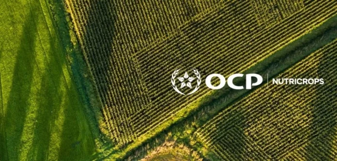 OCP crée HoldCo B.V. pour gérer ses participations étrangères