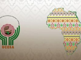 La Chine salue l’action du CESE et de l’UCESA en Afrique