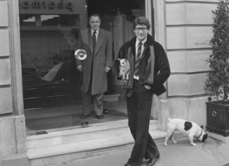 Musée YSL : une expo inédite sur ses compagnons canins Musée YSL : une expo inédite sur ses compagnons canins