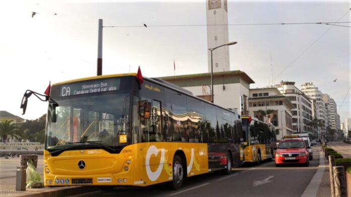 Travaux à Casablanca : Casabus change le trajet de trois lignes