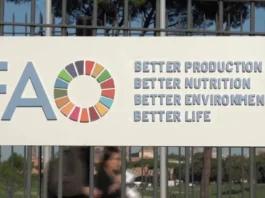 Le Maroc présente un projet éducatif innovant au Forum mondial de l’Alimentation