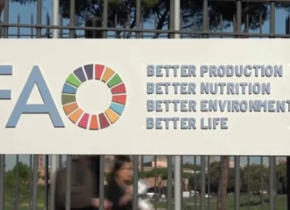 Le Maroc présente un projet éducatif innovant au Forum mondial de l’Alimentation La FAO salue le potentiel agricole du Maroc