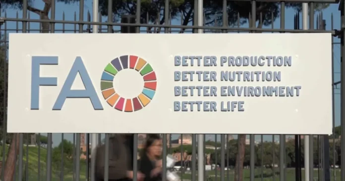 Le Maroc présente un projet éducatif innovant au Forum mondial de l’Alimentation