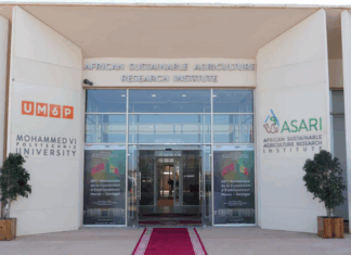 L’UM6P célèbre 60 ans de coopération maroco-sénégalaise à Laâyoune L'UM6P célèbre 60 ans de coopération maroco-sénégalaise à Laâyoune