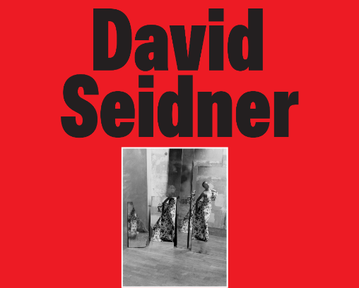Le musée Yves Saint Laurent Marrakech célèbre David Seidner