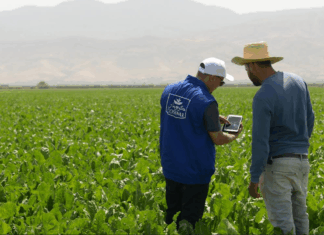 COSUMAR relance la production sucrière avec un programme ambitieux pour 2026 COSUMAR relance la production sucrière avec un programme ambitieux pour 2026