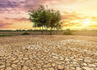 Face aux urgences climatiques, l’Afrique cherche des réponses communes à Skhirat Face aux urgences climatiques, l’Afrique cherche des réponses communes à Skhirat