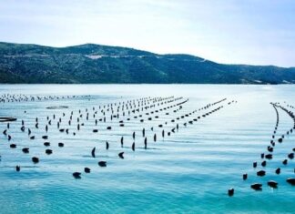 Vers une révolution aquacole au Maroc, selon la Banque mondiale Vers une révolution aquacole au Maroc, selon la Banque mondiale