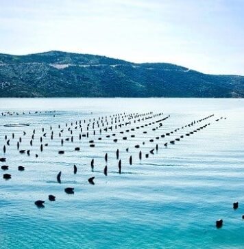 Vers une révolution aquacole au Maroc, selon la Banque mondiale Vers une révolution aquacole au Maroc, selon la Banque mondiale