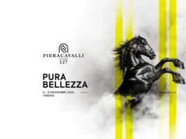 Fieracavalli 2025 : le Maroc, invité d’honneur à Vérone