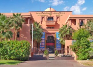 L’Afrique, berceau de la vie, racontée à Marrakech L’Afrique, berceau de la vie, racontée à Marrakech