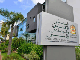 Le CESE propose un Small Business Act pour soutenir les TPE